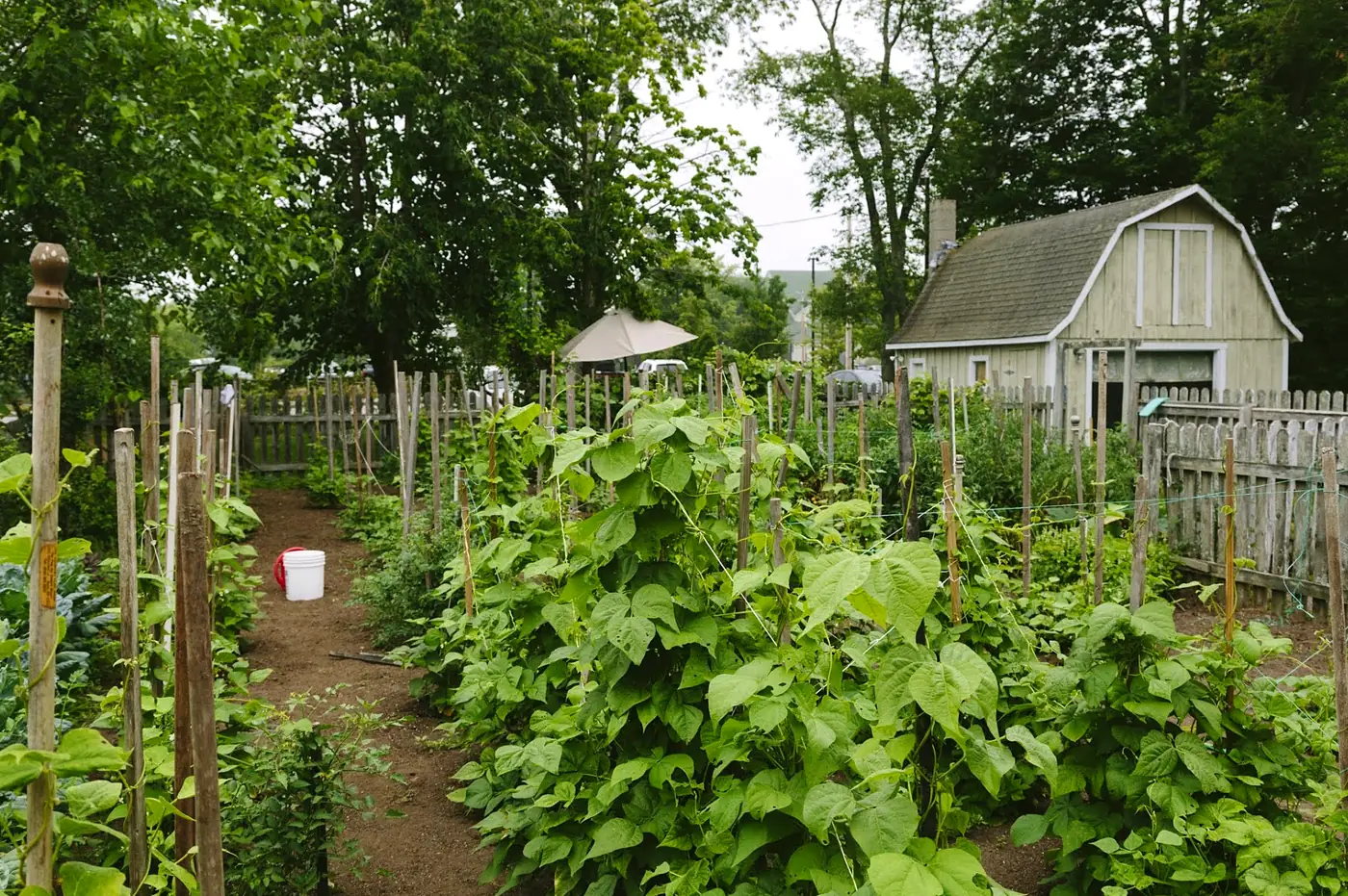 The kitchen garden behind the Applewood Inn